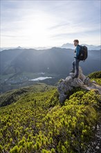 Hiker standing on a rock between mountain pines