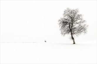 Einsame Frau knieend an Marterl mit Baum in Winterlandschaft