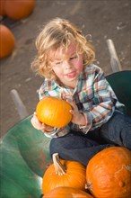 Little boy sitting in a wheelbarrow next to his pumpkins in a rustic ranch setting at the pumpkin patch