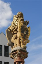 Lion fountain on the Muensterplatz