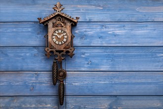Antique Black Forest cuckoo clock in front of blue wooden wall