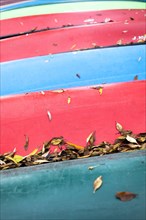 Several canoes with autumn leaves