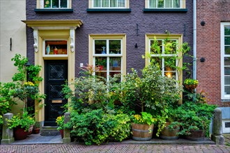 Old house with door and windows with lush plants in front. Delft