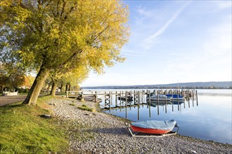 Autumn in the harbour of Allensbach