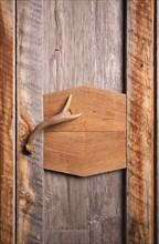 Rustic cabinet with antler handle