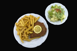 Cordon bleu with french fries and salad served in a garden restaurant