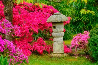Stone lantern in Japanese garden with blooming flowers in Park Clingendael
