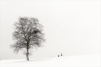 Einsame Frau knieend an Marterl mit Baum in Winterlandschaft