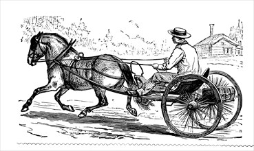 One-horse carriage