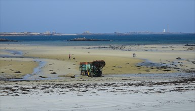 Beach Plage de Kloukouri with tractor loading seaweed
