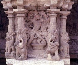 Narasimha incarnation of the Vishnu in kailasanathar temple