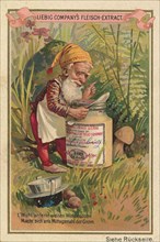 Series of the gnome using Liebig's meat extract