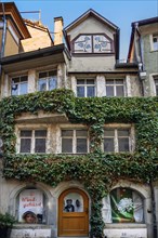 Old overgrown facade with lift dormer