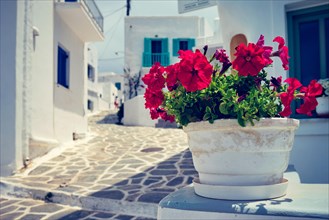 Picturesque narrow street with traditional whitewashed houses with focus on blooming geranium flower of Naousa town in famous tourist attraction Paros island