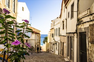 Charming street of Sesimbra with flowers in the foreground