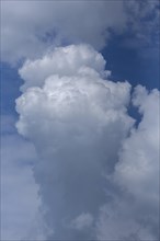 Towering cumulus cloud