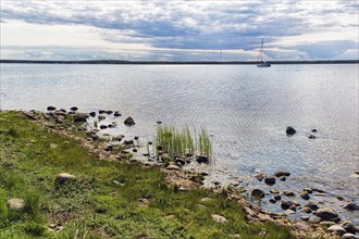 Shore of the lagoon-like bay Grankullaviken