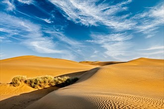 Sam Sand dunes in Thar Desert. Rajasthan