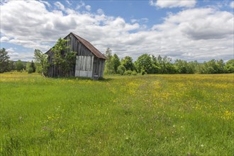 Hut in the nature reserve of Rotenbach meadows in High Black Forest. Friedenweiler