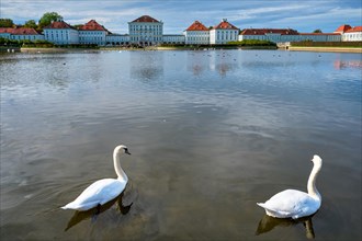 Swans in pond in front of the Nymphenburg Palace