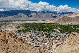 View of Leh from above. Ladakh