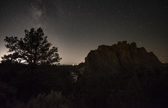Tree and canyon against night sky