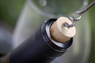 Close-up of corkscrew twisted into cork of wine bottle