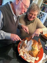 Senior adult couple cutting the holiday Turkey together in the kitchen