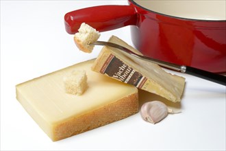 Ingredients for cheese fondue