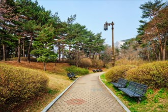 Pathwalk with benches in Yeouido Park public park in Seoul