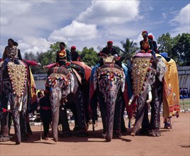 Caparisoned elephants in Dussera festival