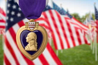 Purple heart miltary merit medal against memorial field of american flags