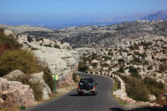 Road in El Torca National Park