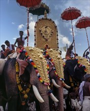 During the elephants parade in Pooram festival