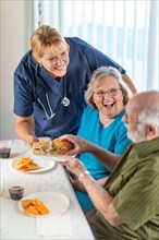Female doctor or nurse serving senior adult couple sandwiches at table