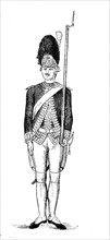 French Grenadier with bearskin cap