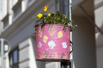 Colourfully painted tin can as a flower pot