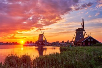 Netherlands rural scene
