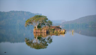 Serene morning on lake Padma Talao