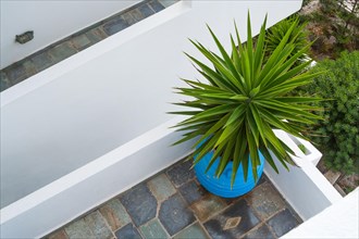 Abstract view of patio and succulent plant in santorini Greece