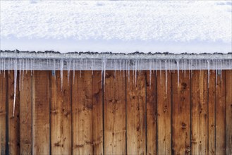 Icicles on the roof in front of a wooden wall
