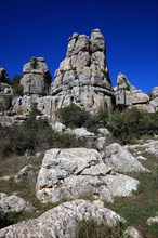 Bizarre rock formations in El Torca National Park