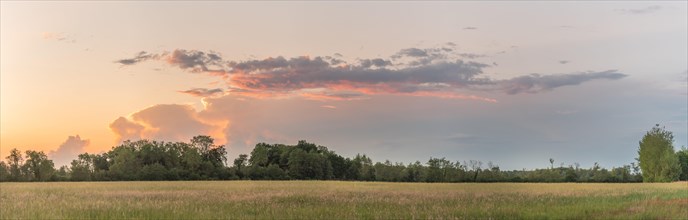 Large pink cloud at sunset over meadow in spring. panorama