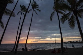 Tourists watching sunset under palm trees