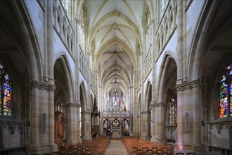 Gothic Basilica of Notre Dame