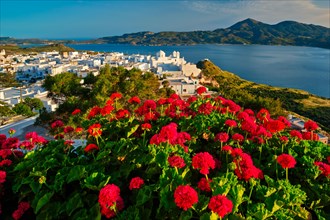 Red geranium flowers with Greek village Plaka in background on Milos island in Greece