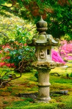 Stone lantern in Japanese garden with blooming flowers after rain in Park Clingendael