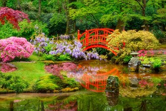 Small bridge in Japanese garden