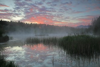 Moorland lake with morning glow
