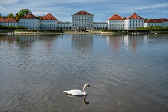 Swans in pond in front of the Nymphenburg Palace. Munich